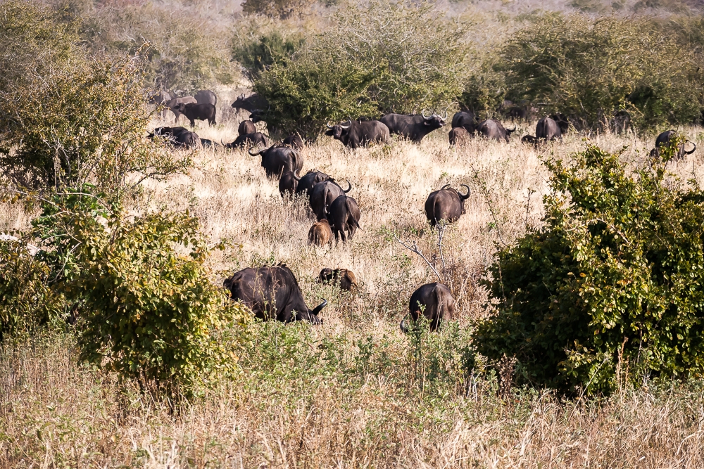R395