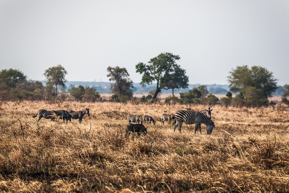R602