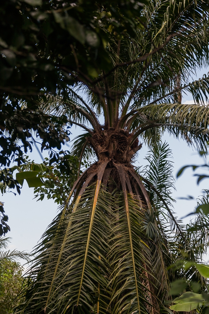 R95