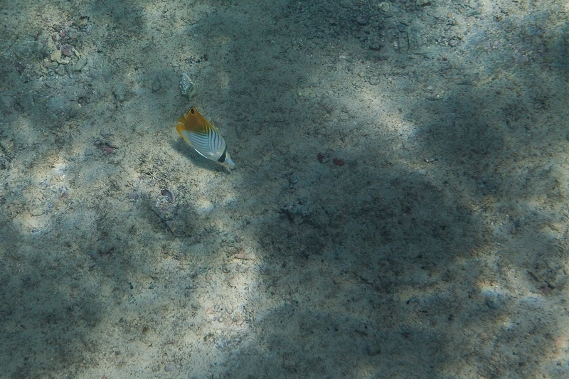 R104