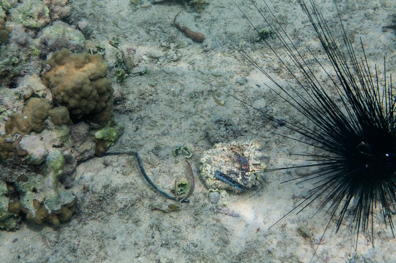R14