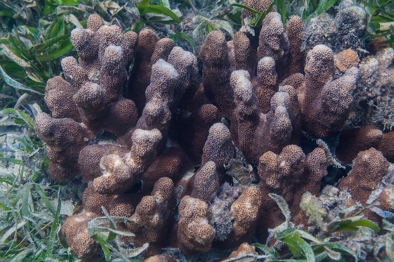 R45