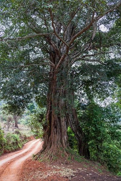 R37
