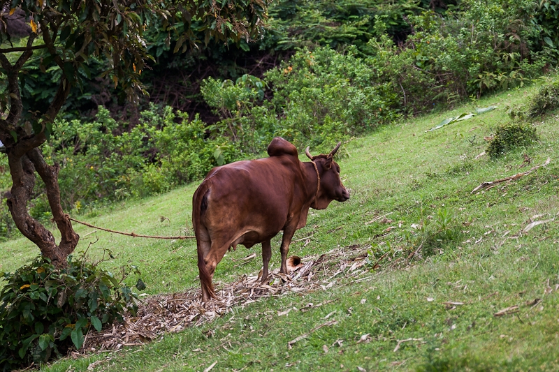 R73