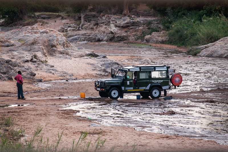 R51