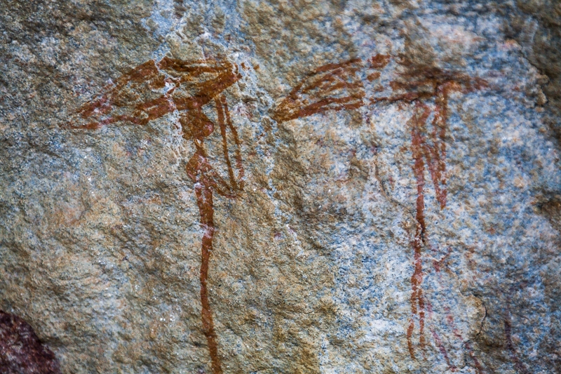 R63