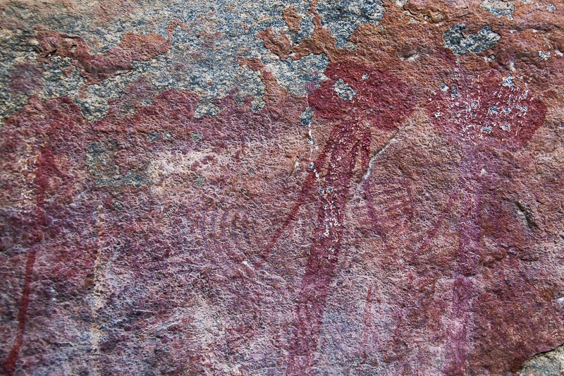 R74