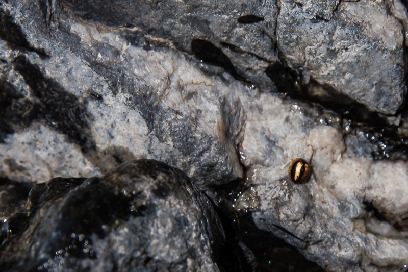 R134