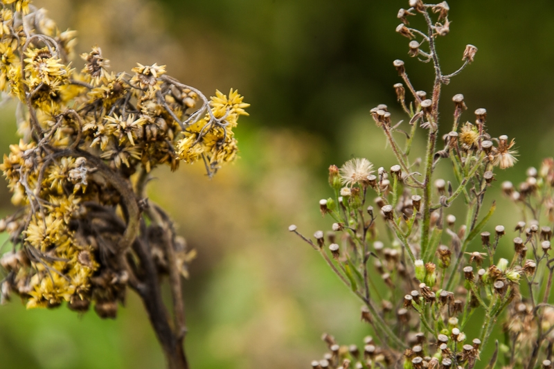 R98