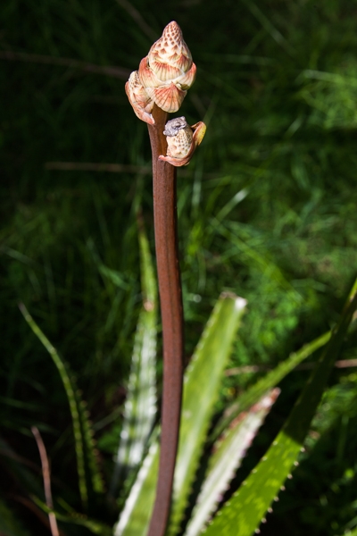 R152