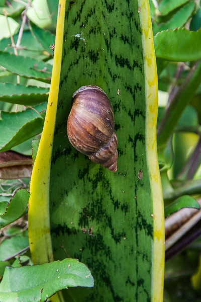 R153