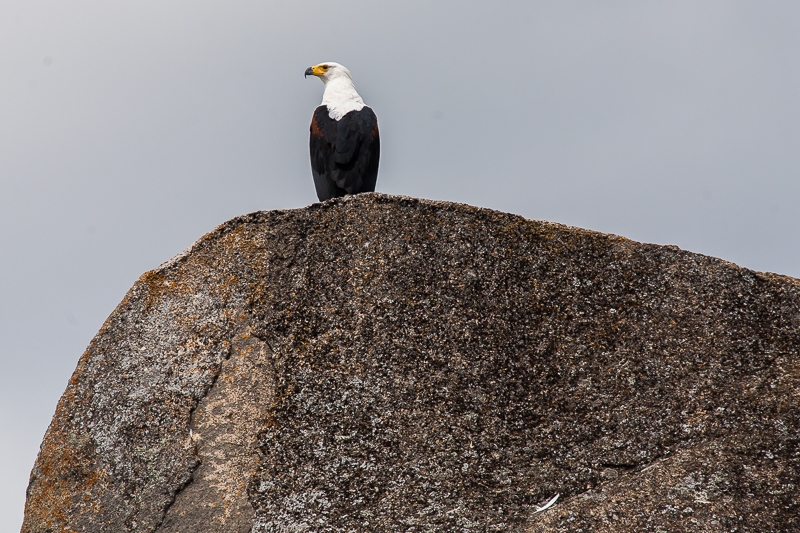 R359