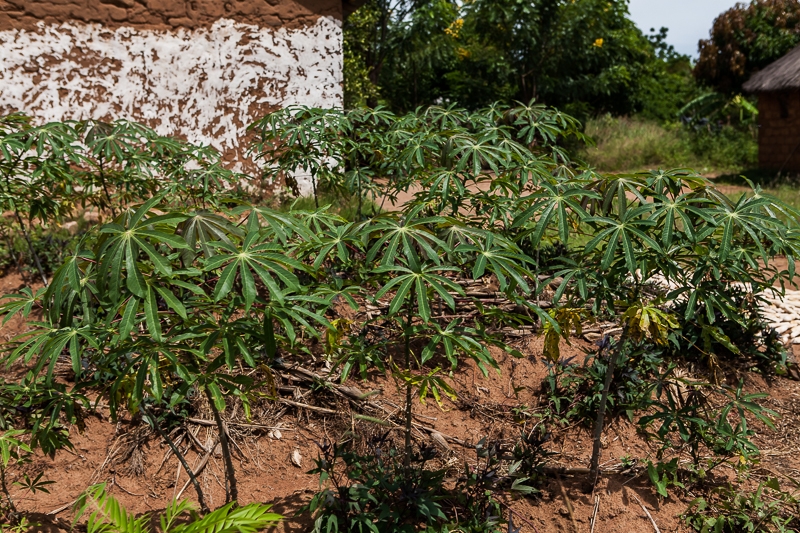 R98