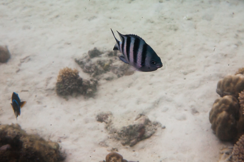 R148