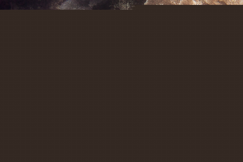 R212