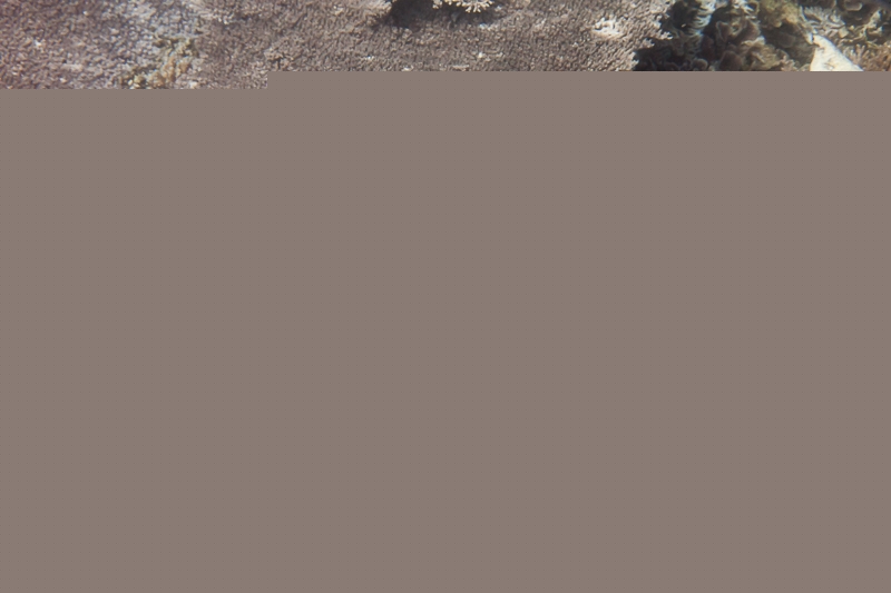 R214