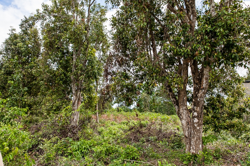R383