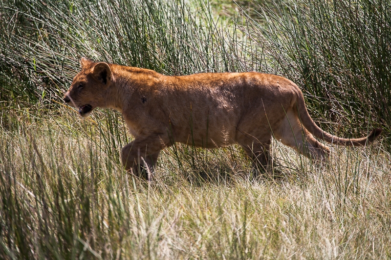 R286