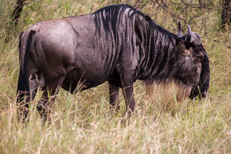 R79