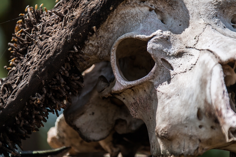 R3