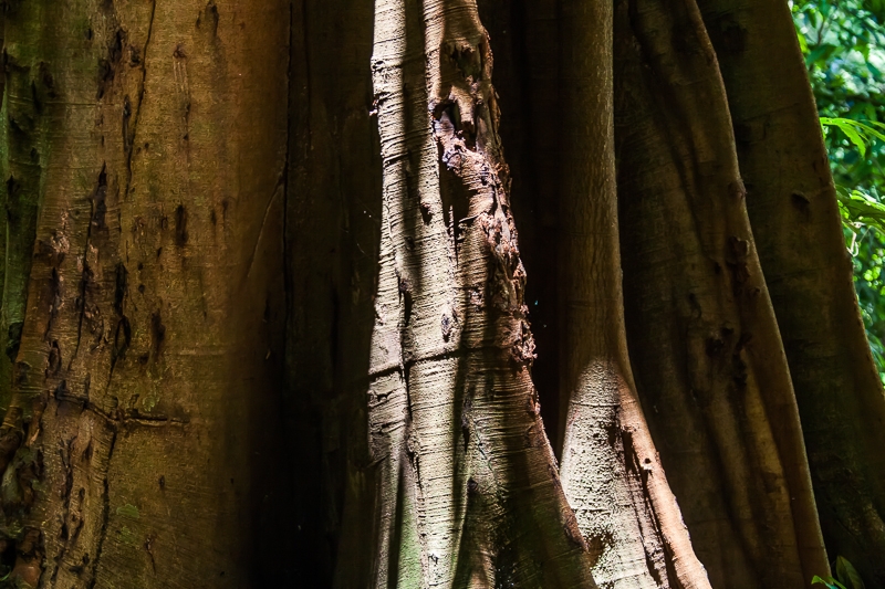 R168