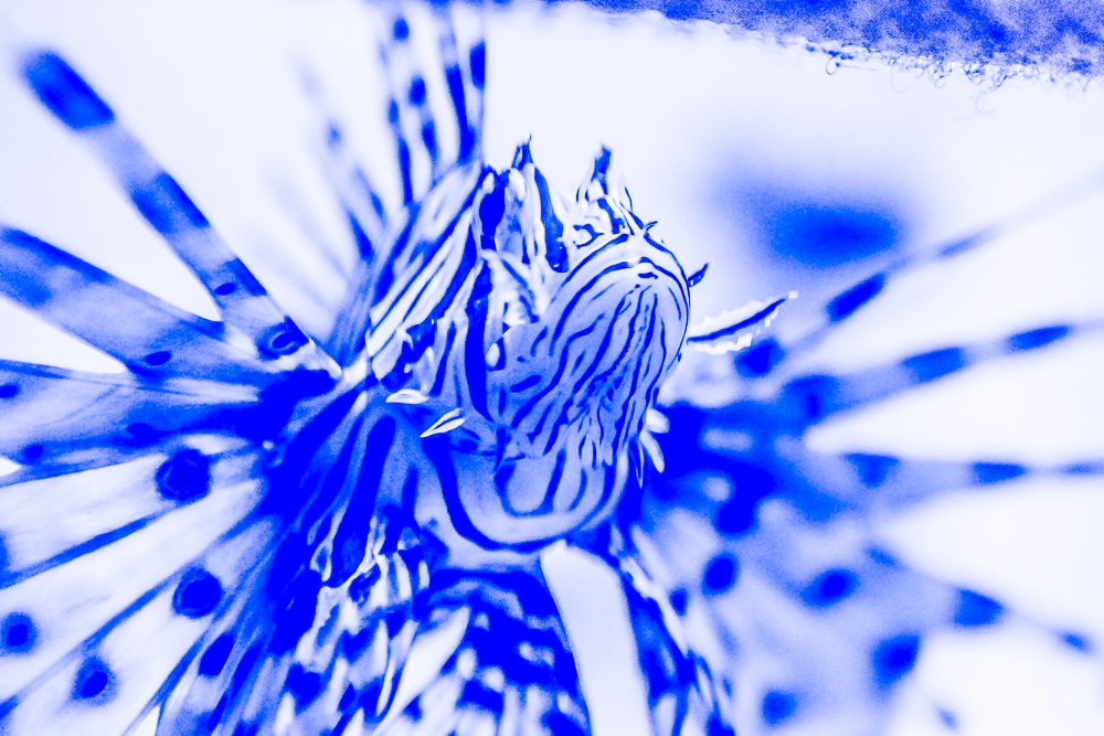 R194
