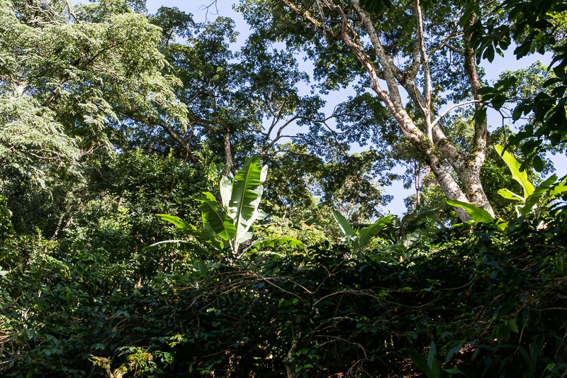 R55