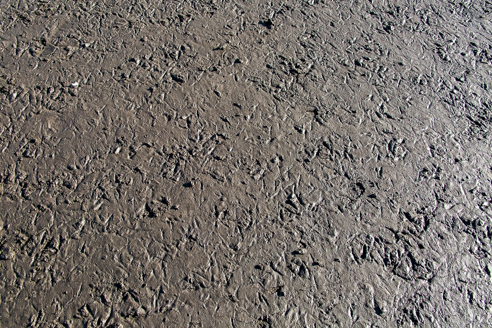 R259