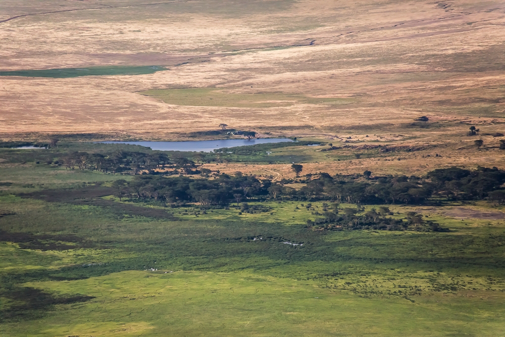 R393