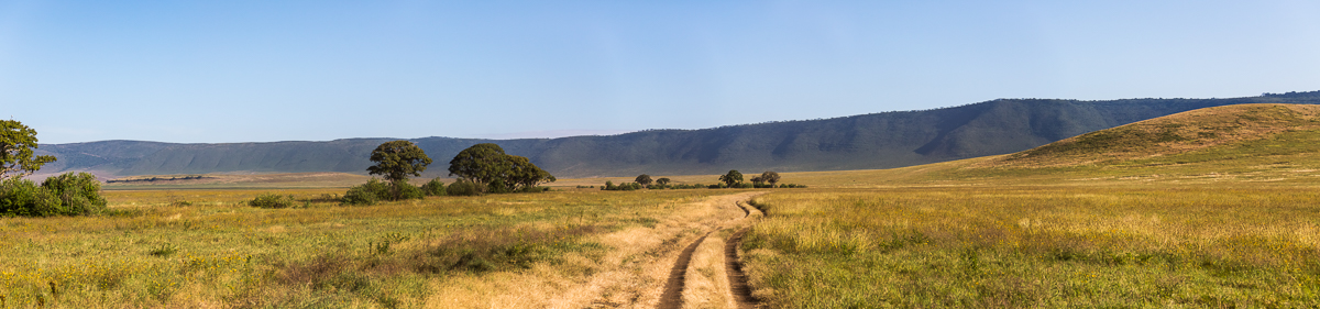 R464
