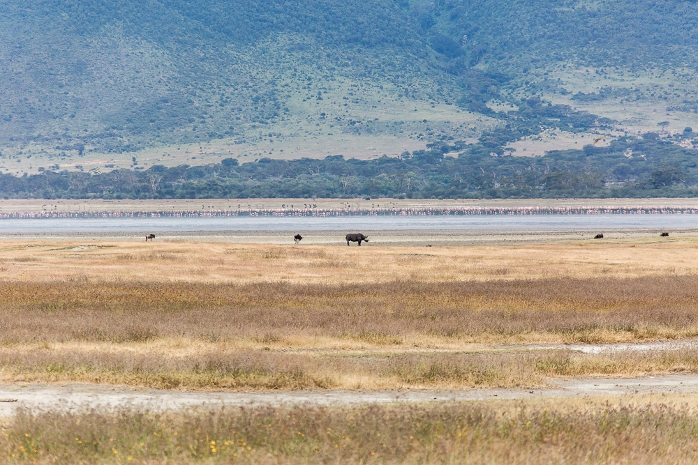 R506