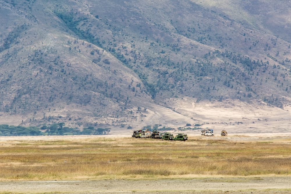 R507