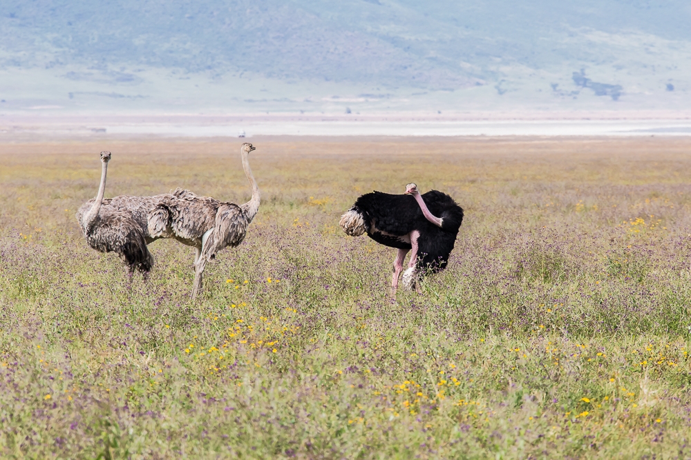 R159