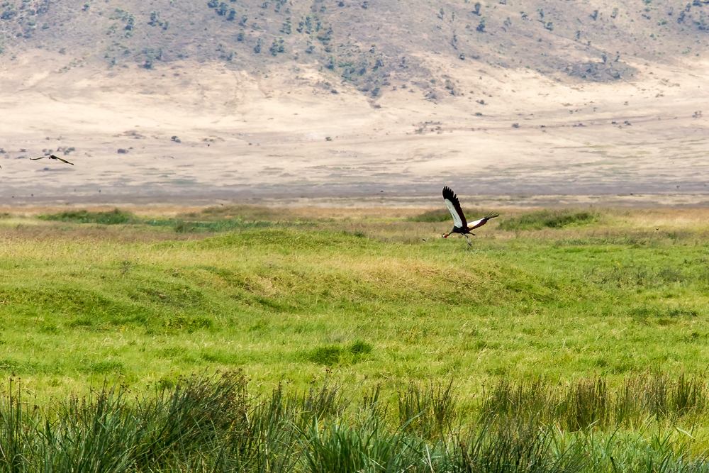 R160