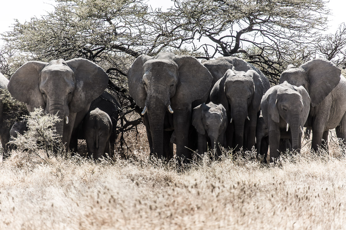 063
