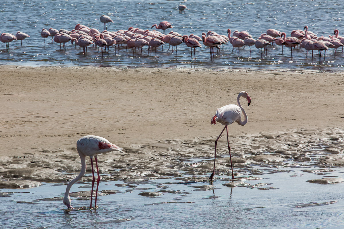 101