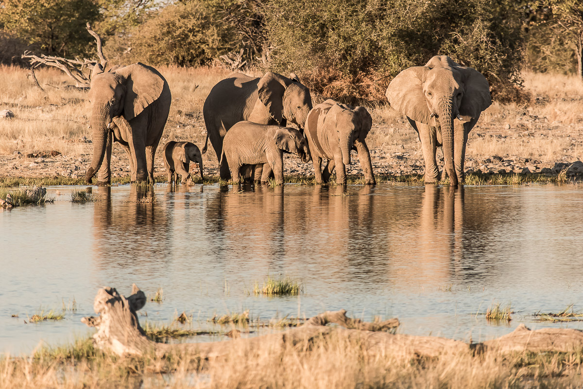 126