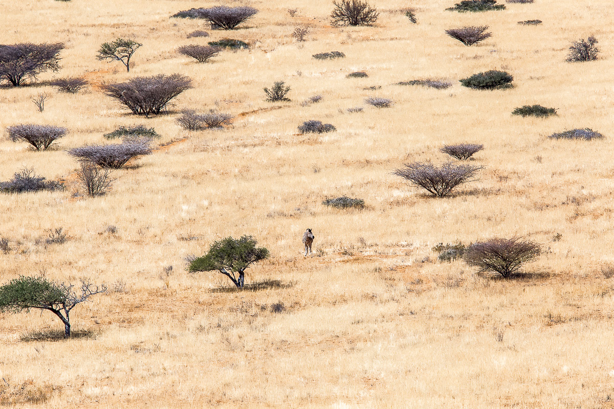 269