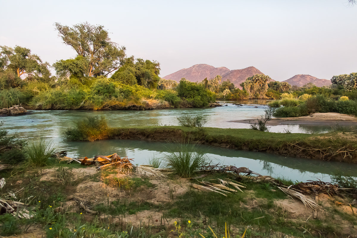 299