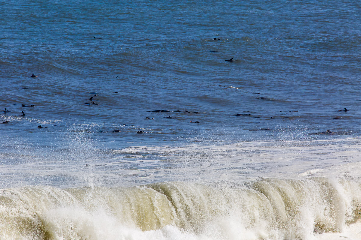 137