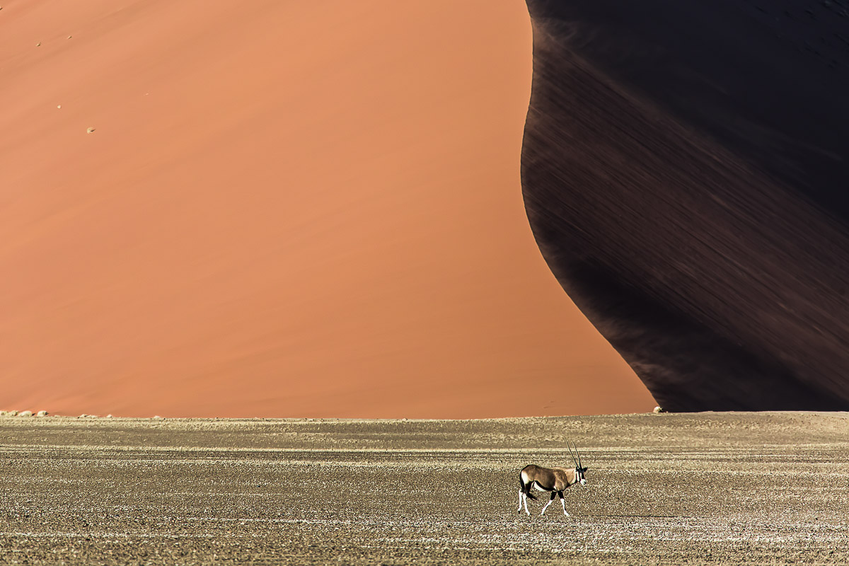 025