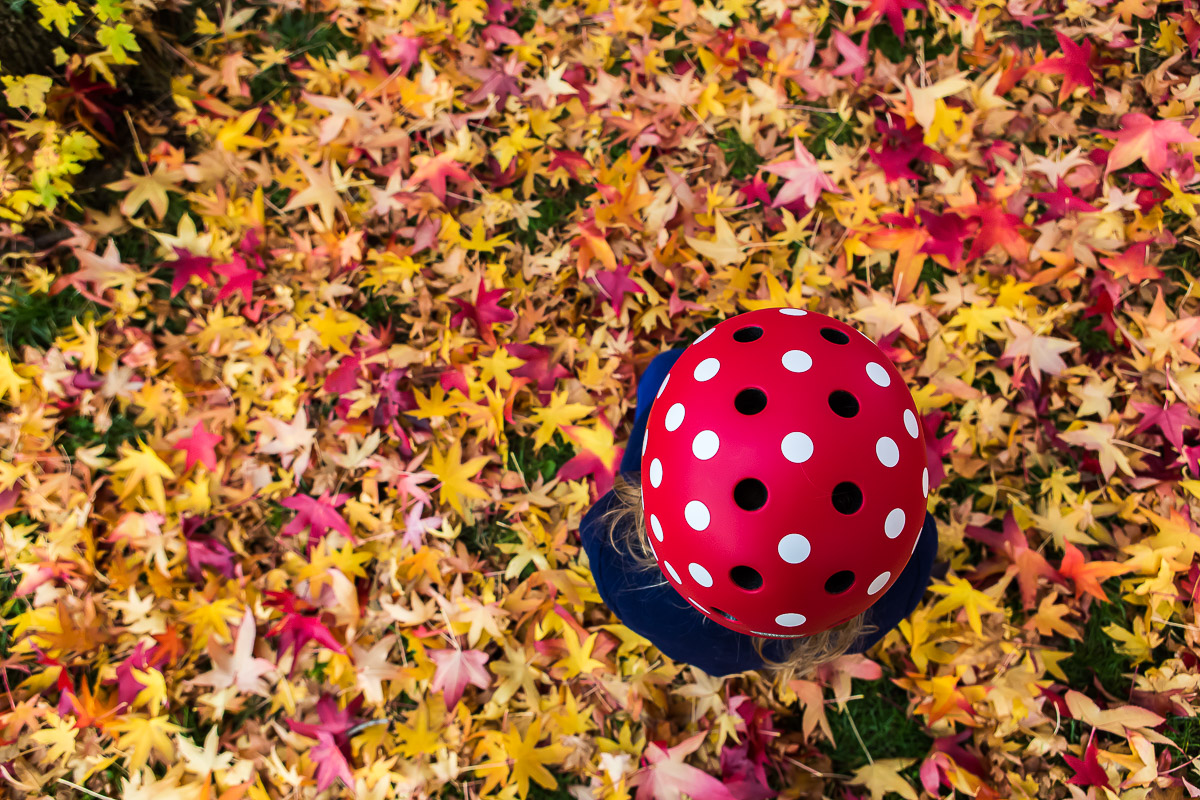019