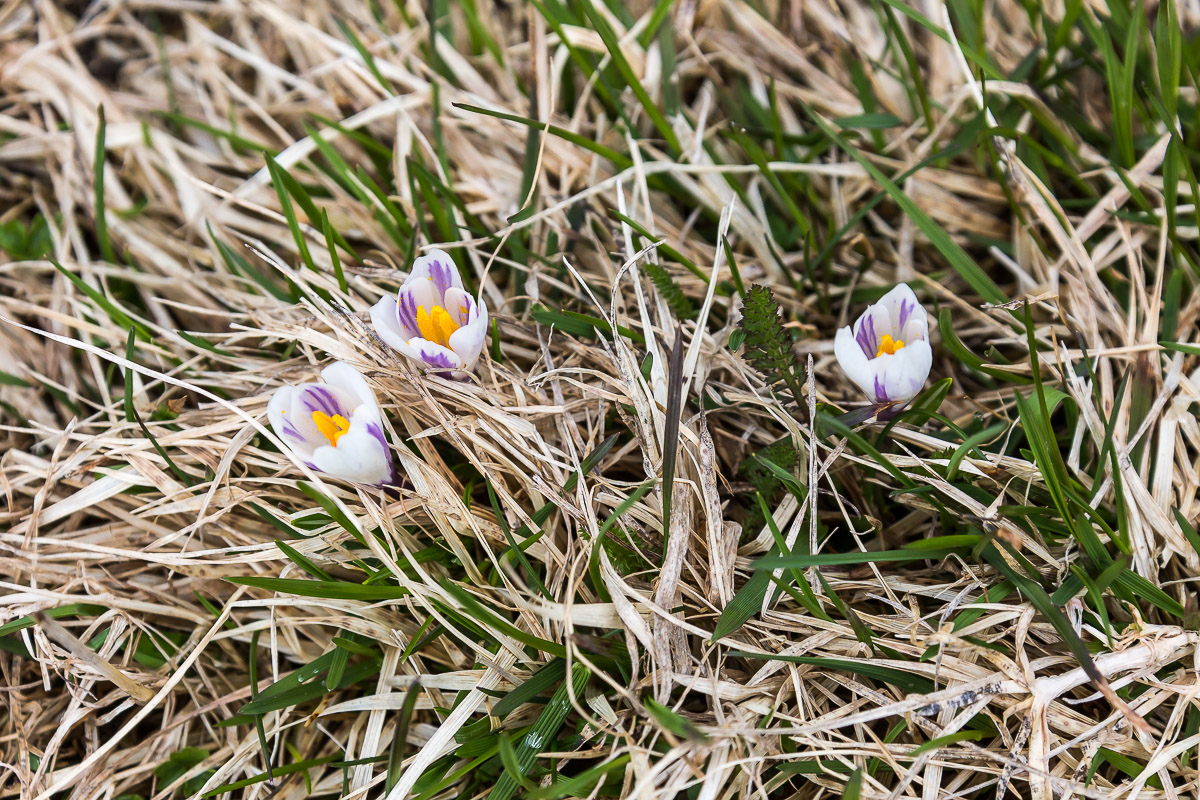 021