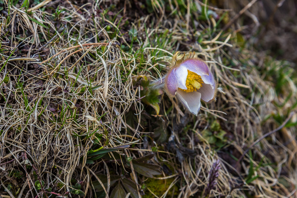 051