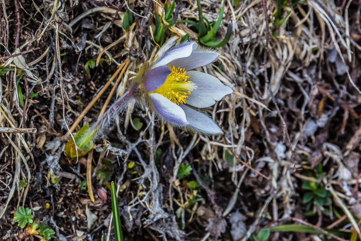 052
