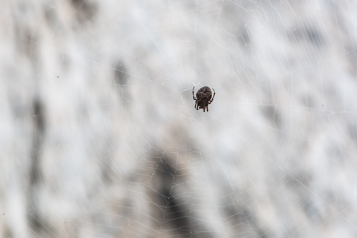 1369