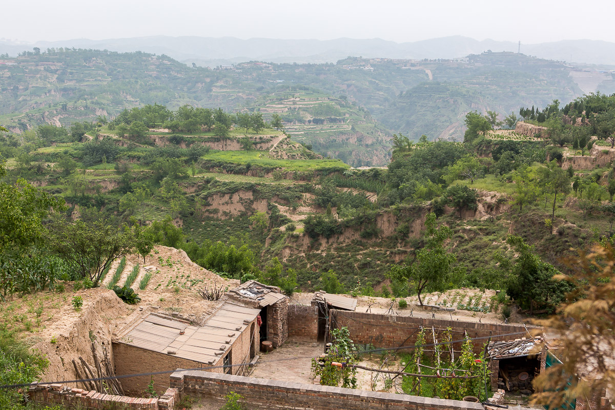 1433
