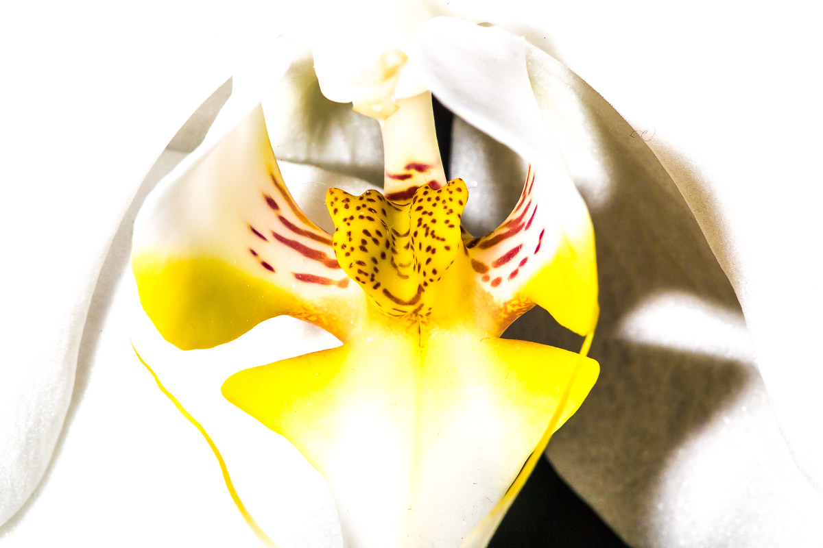 019