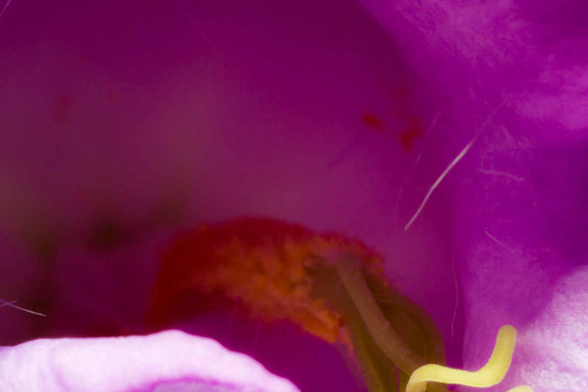 017