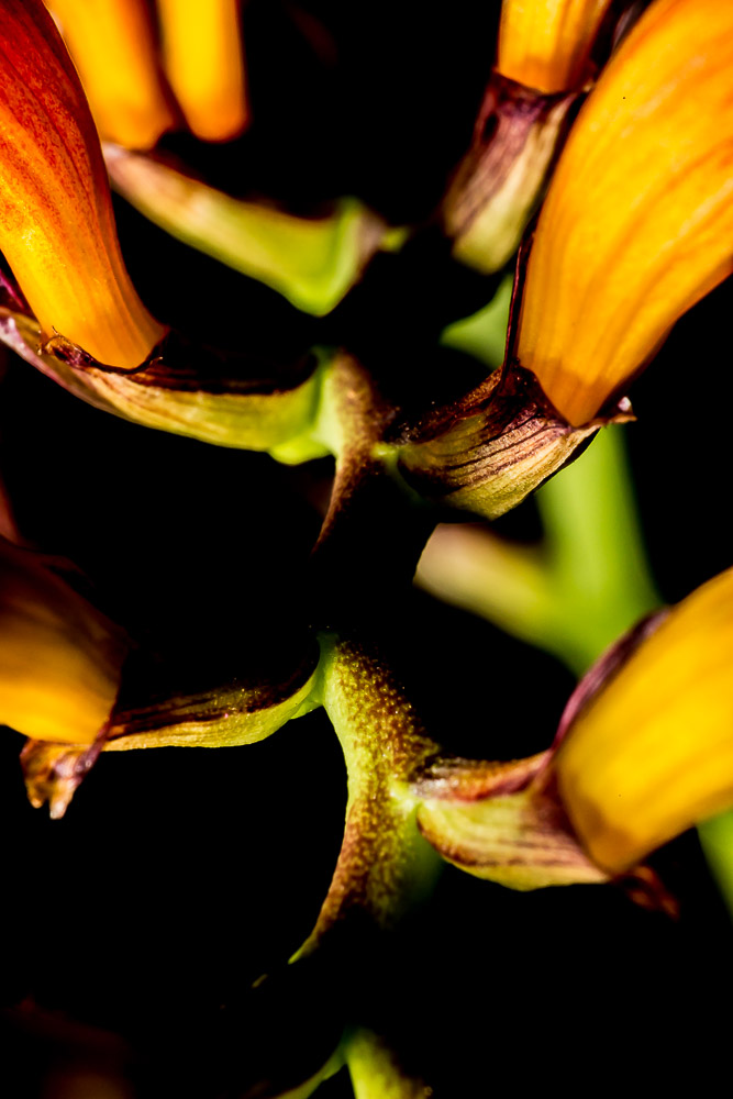027